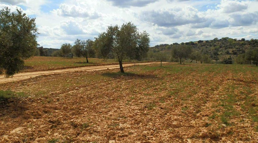 470_fincas-en-venta-082