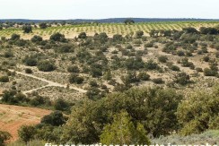 470_fincas-en-venta-085