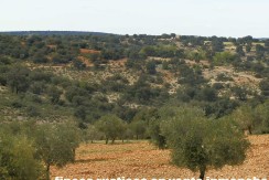 470_fincas-en-venta-087