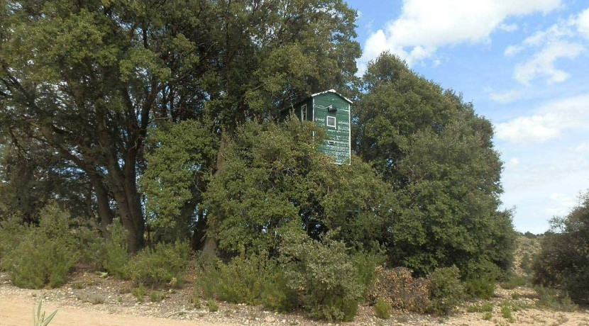 470_fincas-en-venta-092