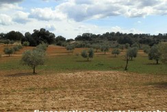 470_fincas-en-venta-093