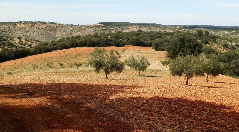 470_fincas-en-venta-095