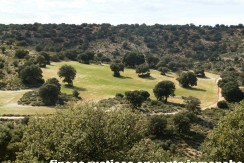 470_fincas-en-venta-098