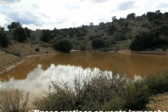 470_fincas-en-venta-102