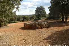 470_fincas-en-venta-104