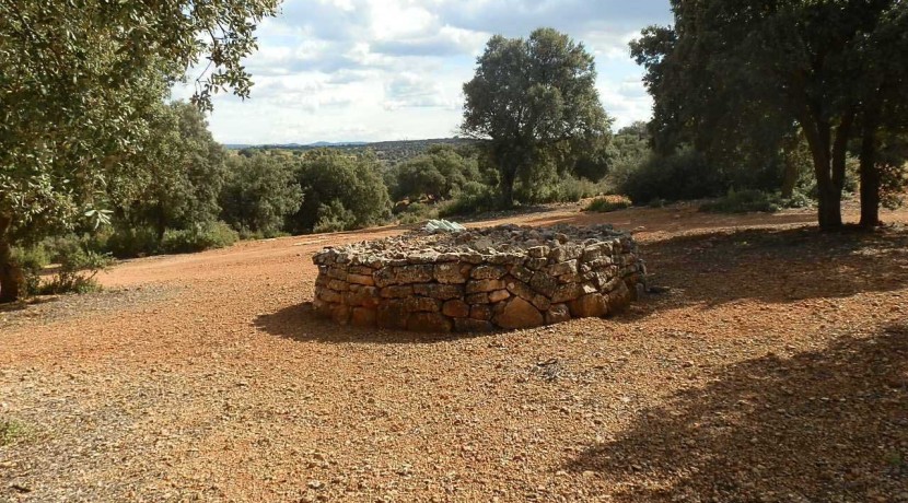 470_fincas-en-venta-104