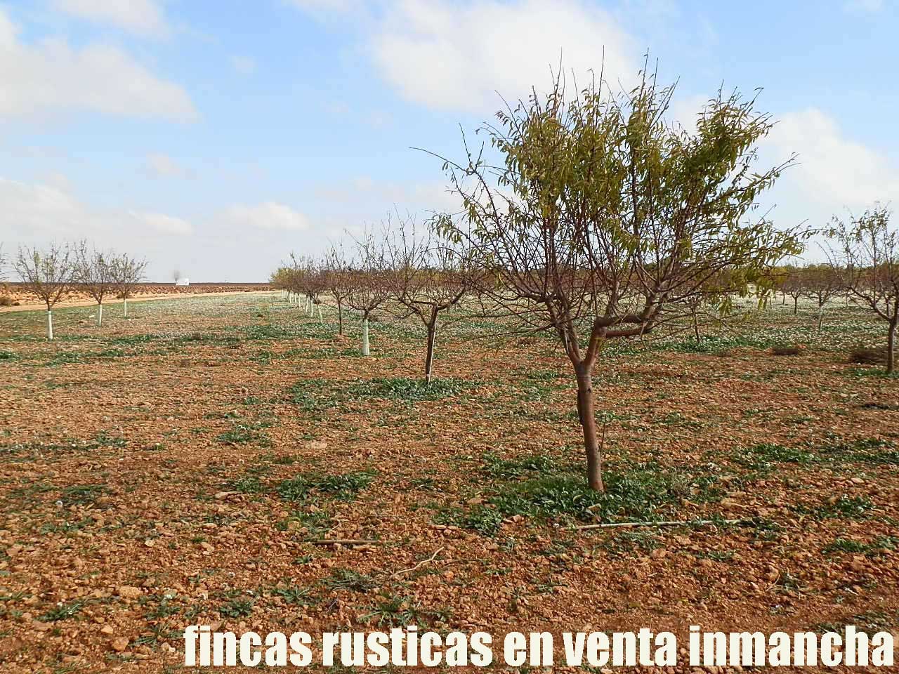 481_fincas-en-venta-87
