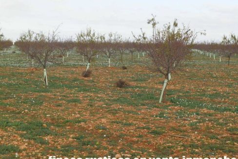481_fincas-en-venta-92