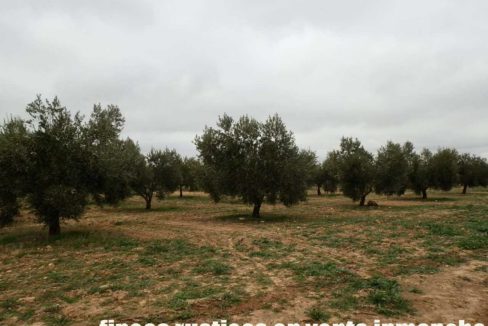 482_fincas-en-venta-69