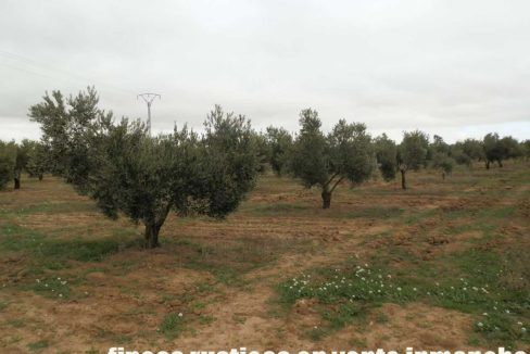 482_fincas-en-venta-72