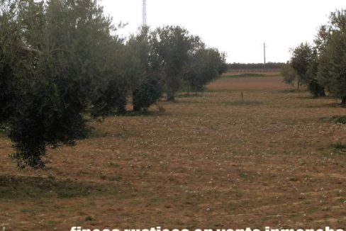 482_fincas-en-venta-85