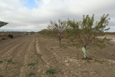 483_fincas-en-venta-49