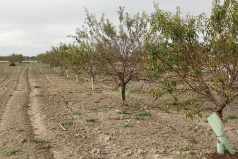 483_fincas-en-venta-50