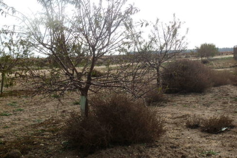 483_fincas-en-venta-51
