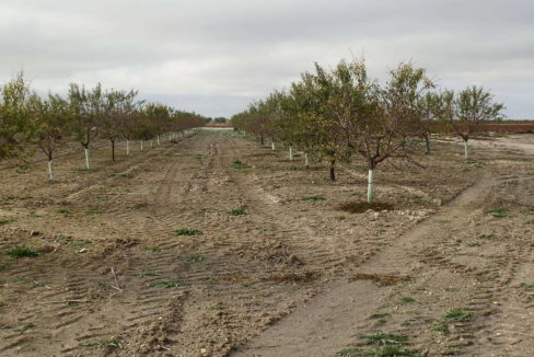 483_fincas-en-venta-52