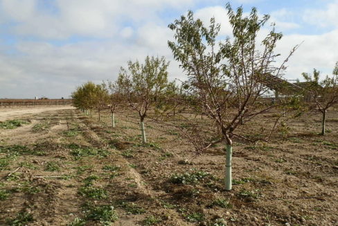 483_fincas-en-venta-53