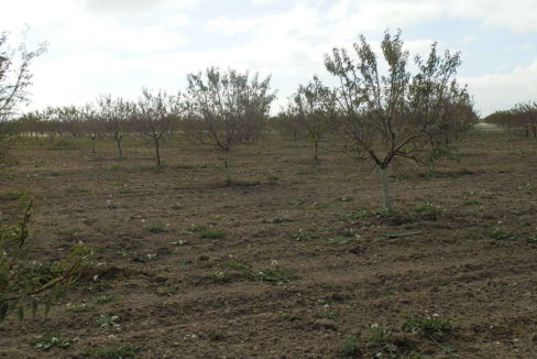 483_fincas-en-venta-54