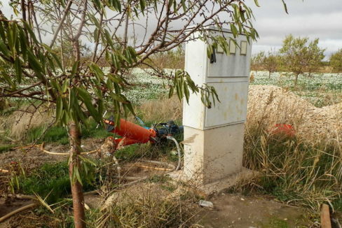 483_fincas-en-venta-58