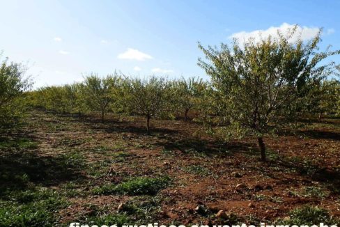 484_fincas-en-venta-09