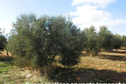 484_fincas-en-venta-36