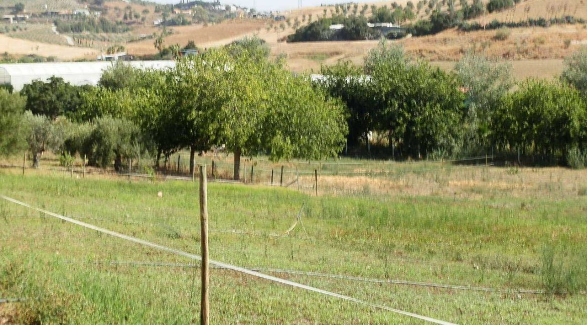 506_fincas-en-venta-02