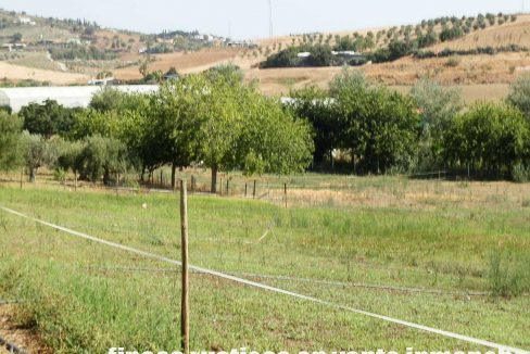 506_fincas-en-venta-02