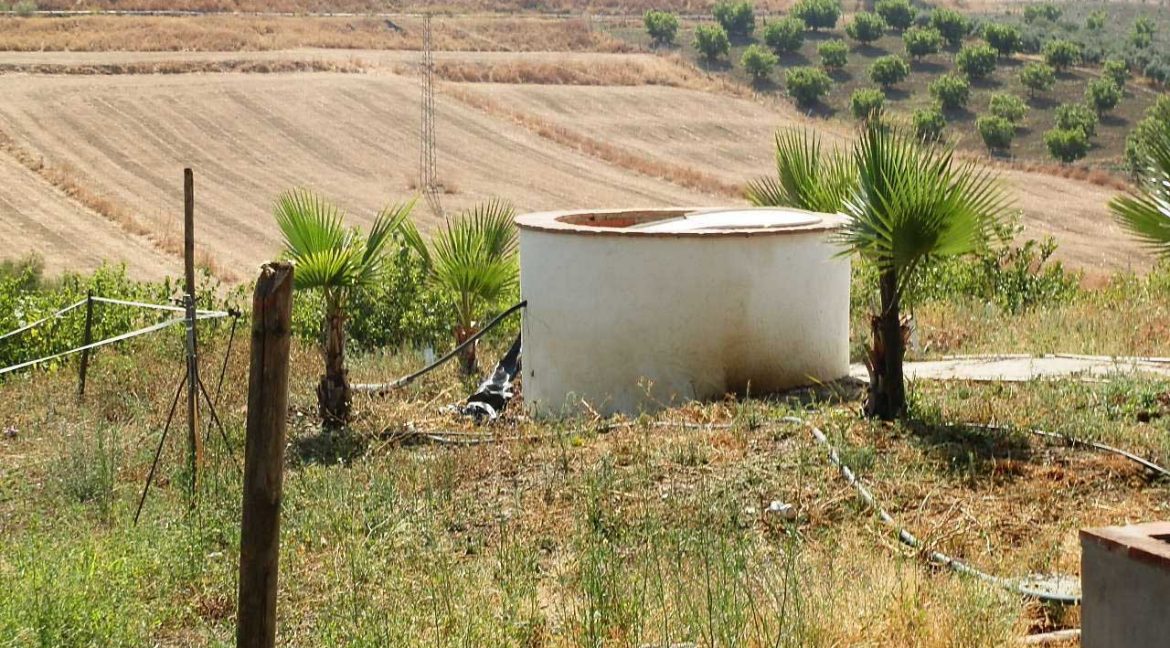506_fincas-en-venta-03
