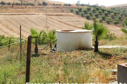 506_fincas-en-venta-03