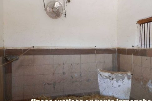 506_fincas-en-venta-10