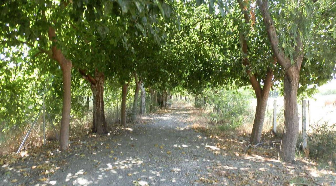 506_fincas-en-venta-14