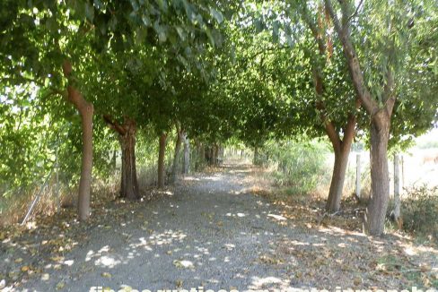 506_fincas-en-venta-14