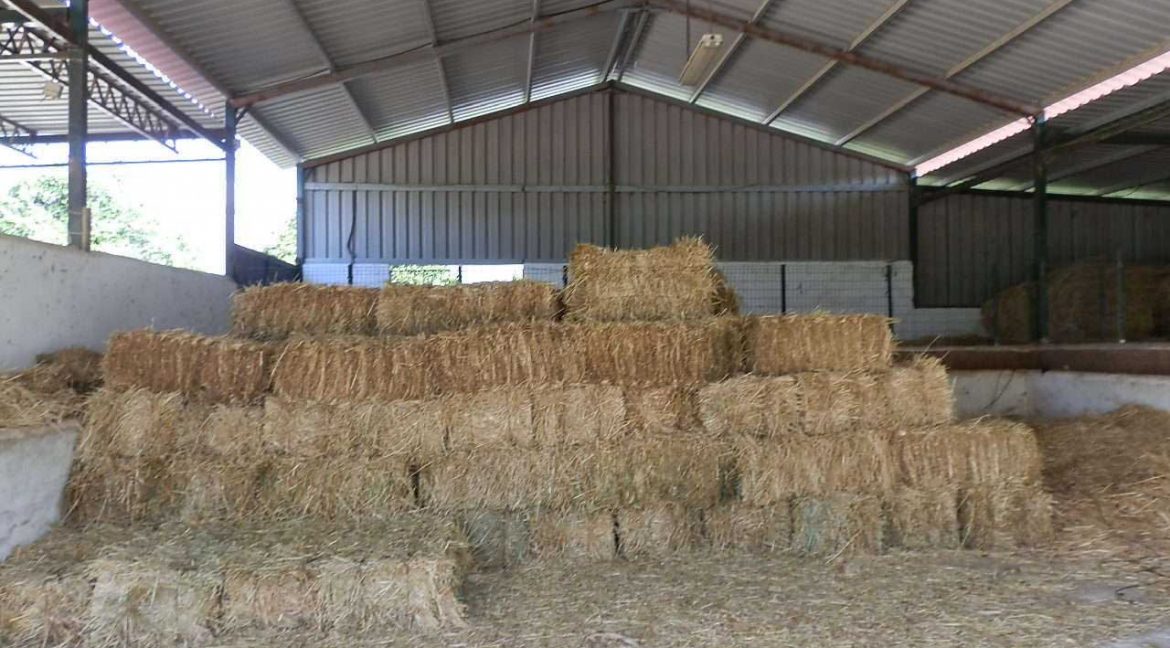 506_fincas-en-venta-16