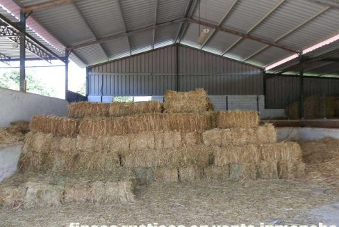 506_fincas-en-venta-16