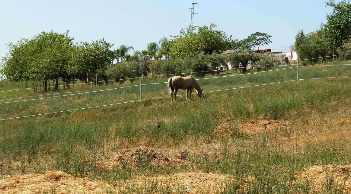 506_fincas-en-venta-17