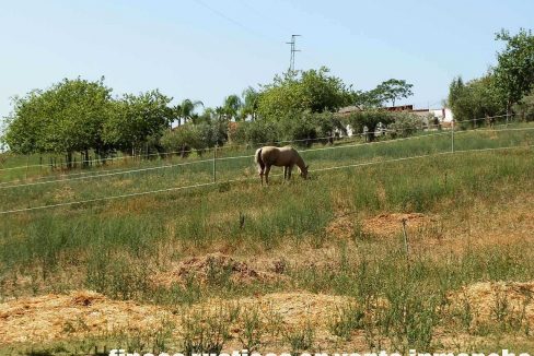 506_fincas-en-venta-17