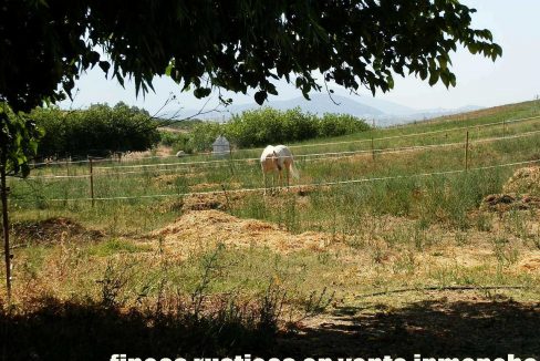 506_fincas-en-venta-18