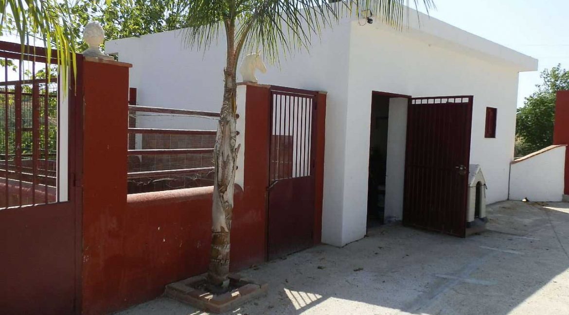 506_fincas-en-venta-19