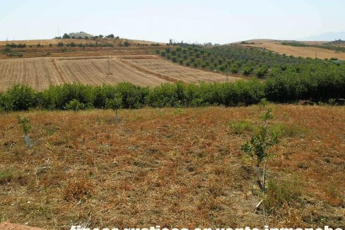 506_fincas-en-venta-23