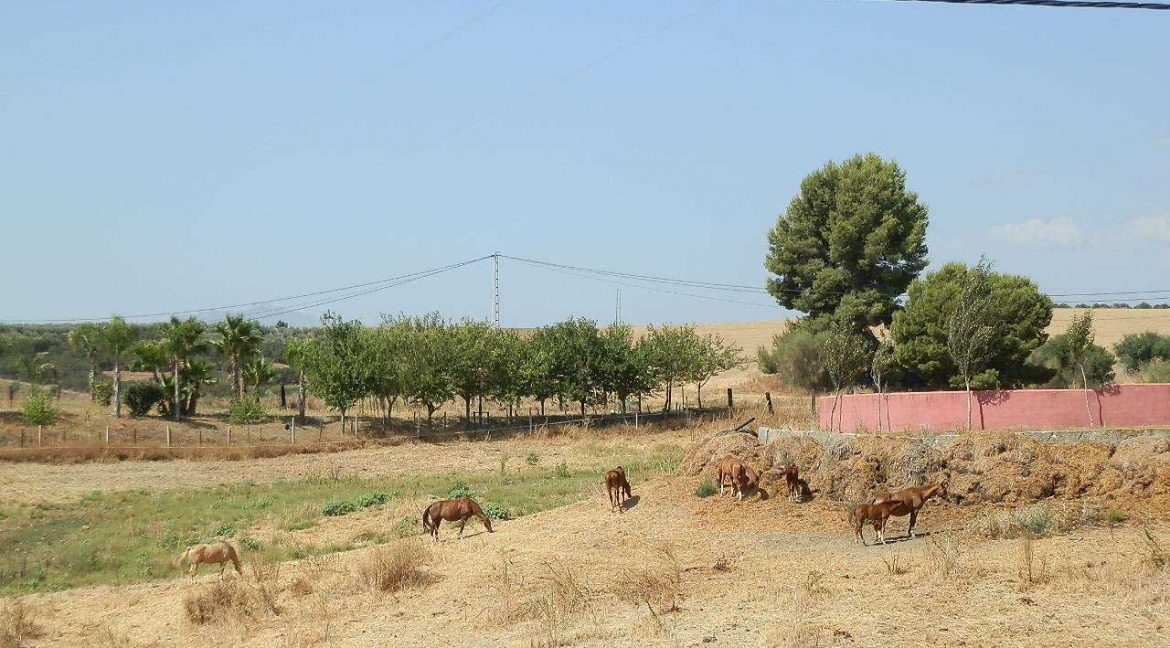 506_fincas-en-venta-27