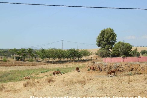 506_fincas-en-venta-27