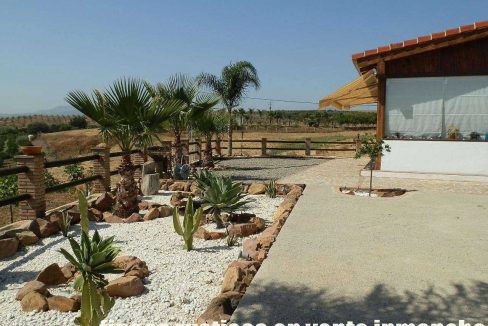 506_fincas-en-venta-33