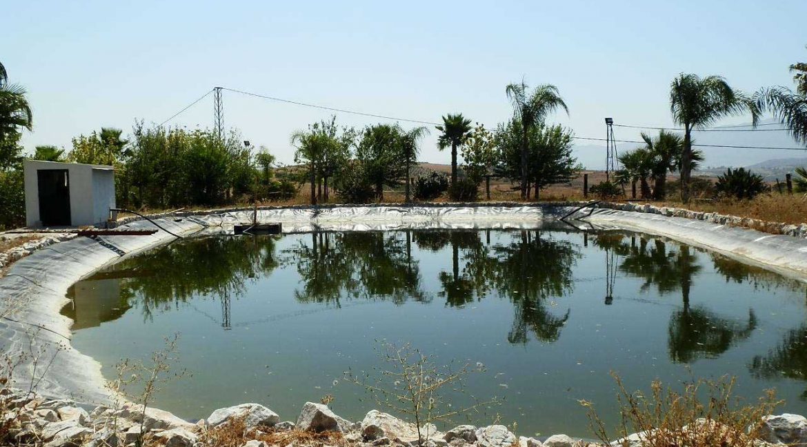 506_fincas-en-venta-37