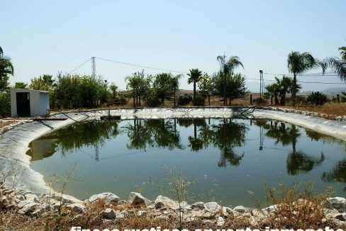 506_fincas-en-venta-37