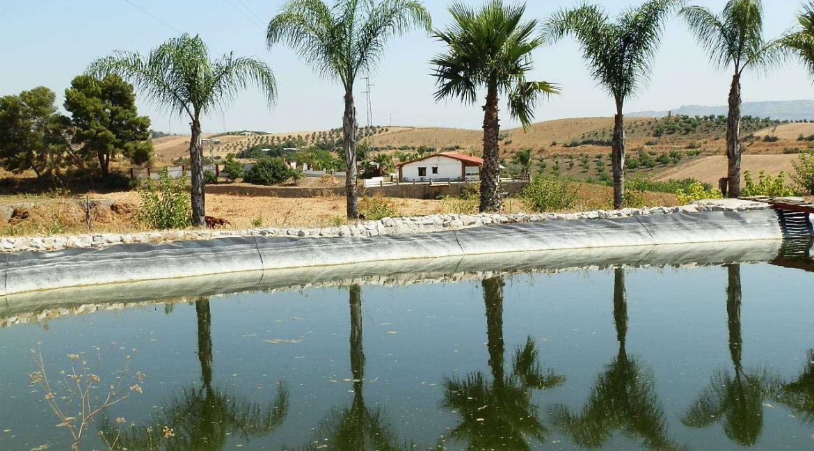 506_fincas-en-venta-38