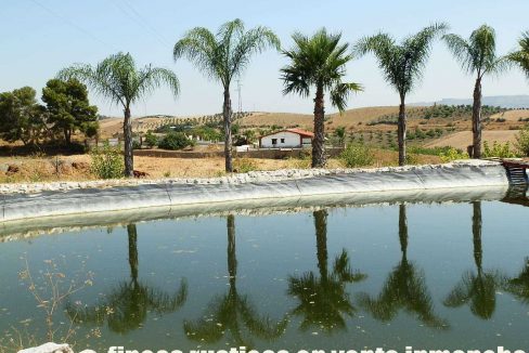 506_fincas-en-venta-38