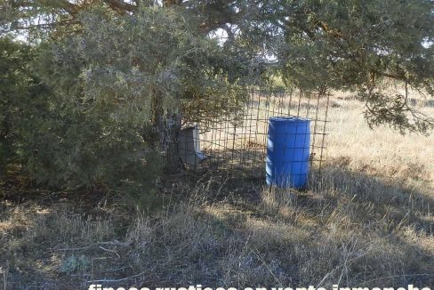 509_fincas-en-venta-13