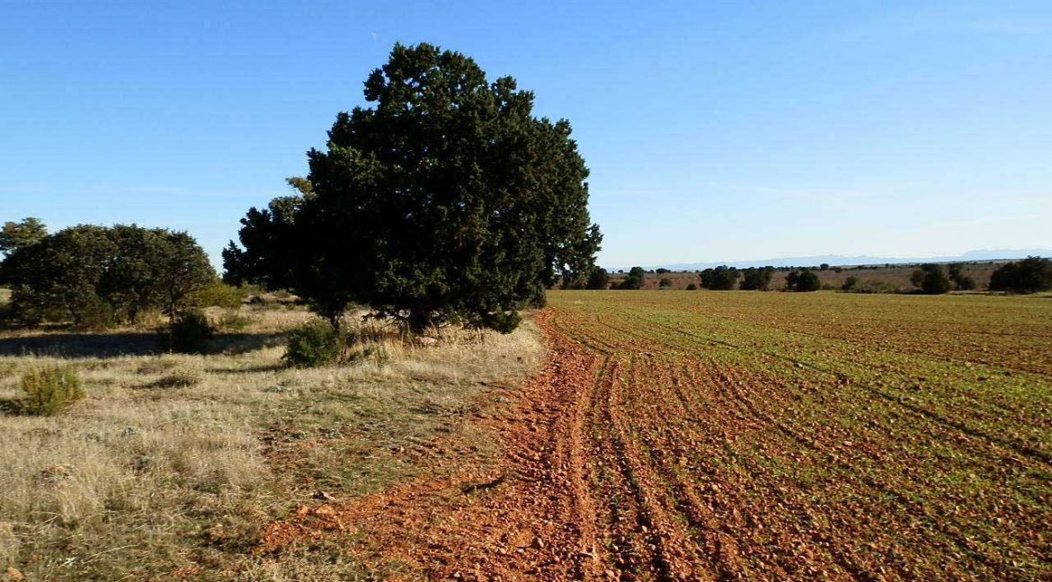 509_fincas-en-venta-24