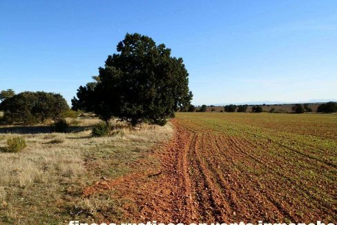 509_fincas-en-venta-24