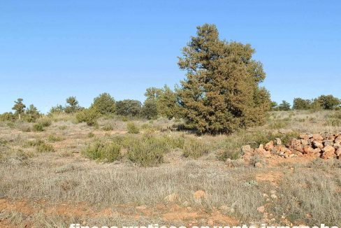 509_fincas-en-venta-25