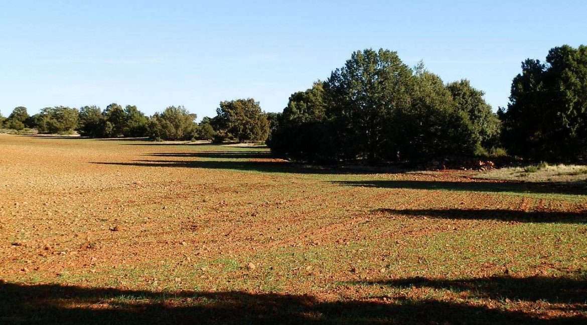 509_fincas-en-venta-27
